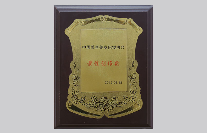 中国美容美发化妆协会最佳创作奖