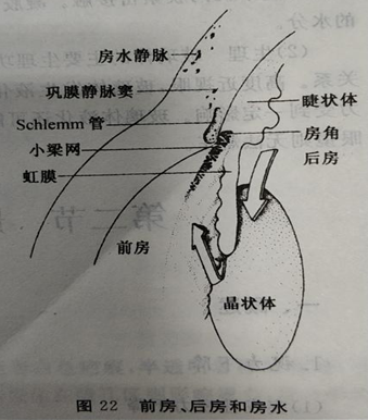 菏泽验光师培训