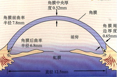 验光师培训学校，正真视光学院