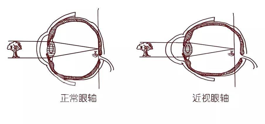 验光师培训 验光师培训学校 验光配镜培训 验光配镜培训学校 正真视光学院 验光师培训 验光师培训学校 验光配镜培训 验光配镜培训学校 正真视光学院